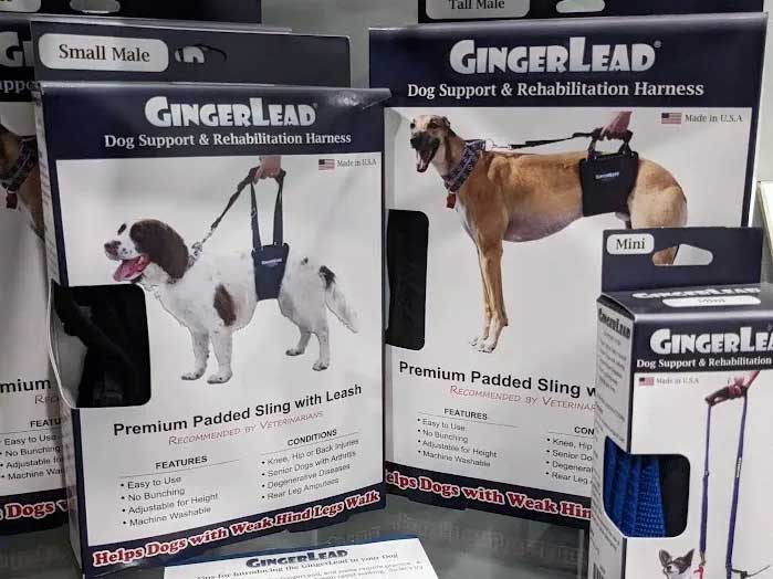 Gingerlead